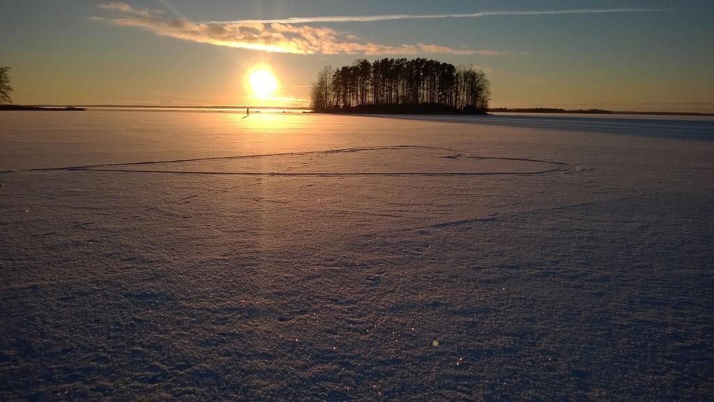Koivuniemi Cottage Säkylä Dış mekan fotoğraf