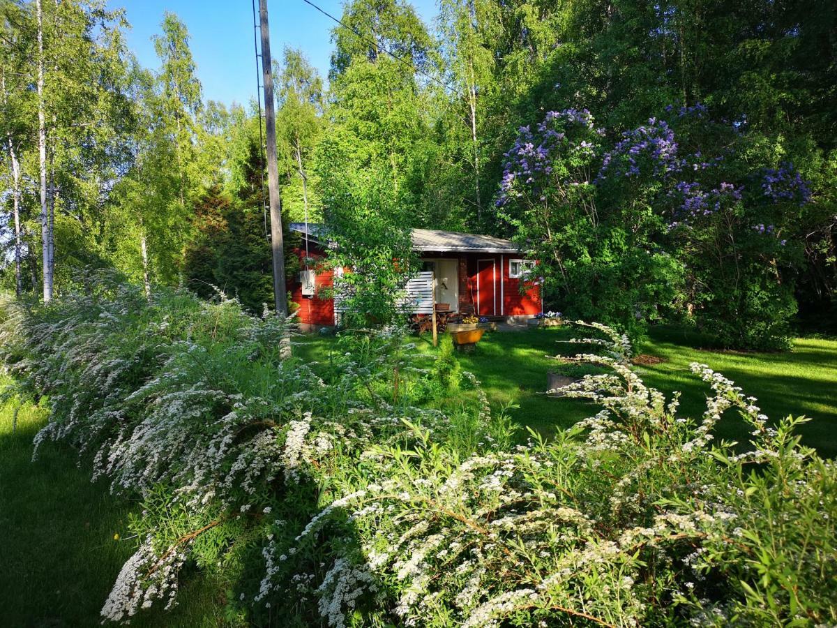 Koivuniemi Cottage Säkylä Dış mekan fotoğraf