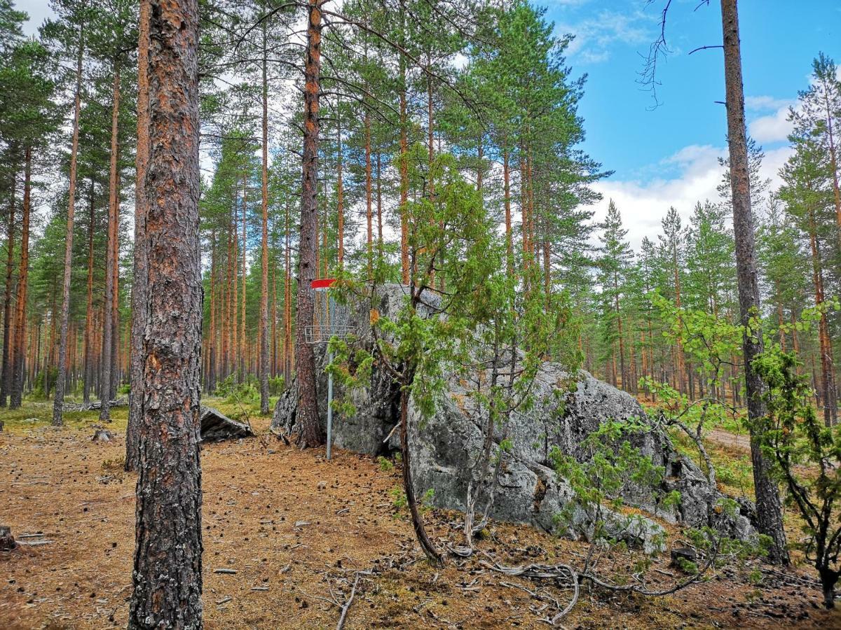 Koivuniemi Cottage Säkylä Dış mekan fotoğraf