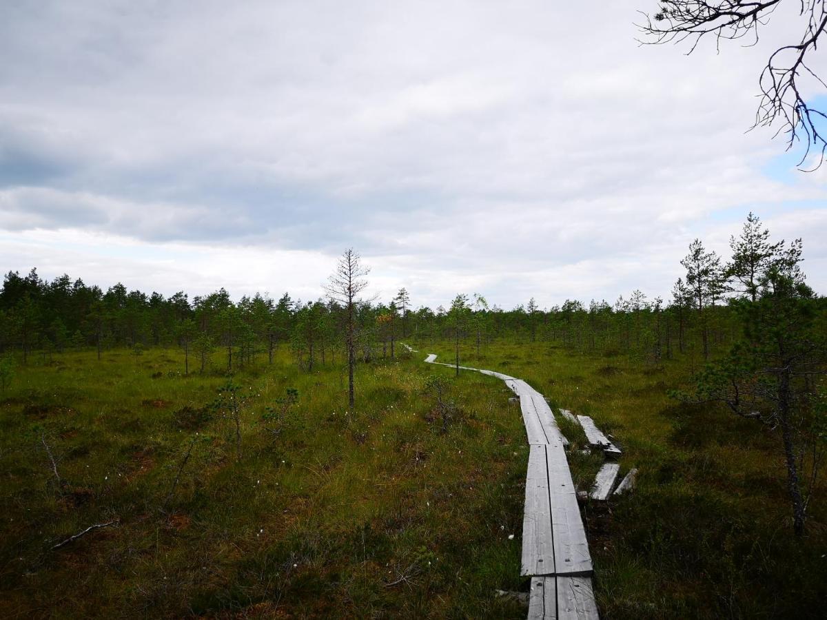 Koivuniemi Cottage Säkylä Dış mekan fotoğraf